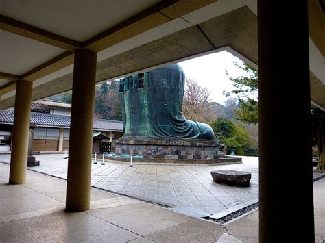 the daibutsu face|Meeting the Kamakura Daibutsu